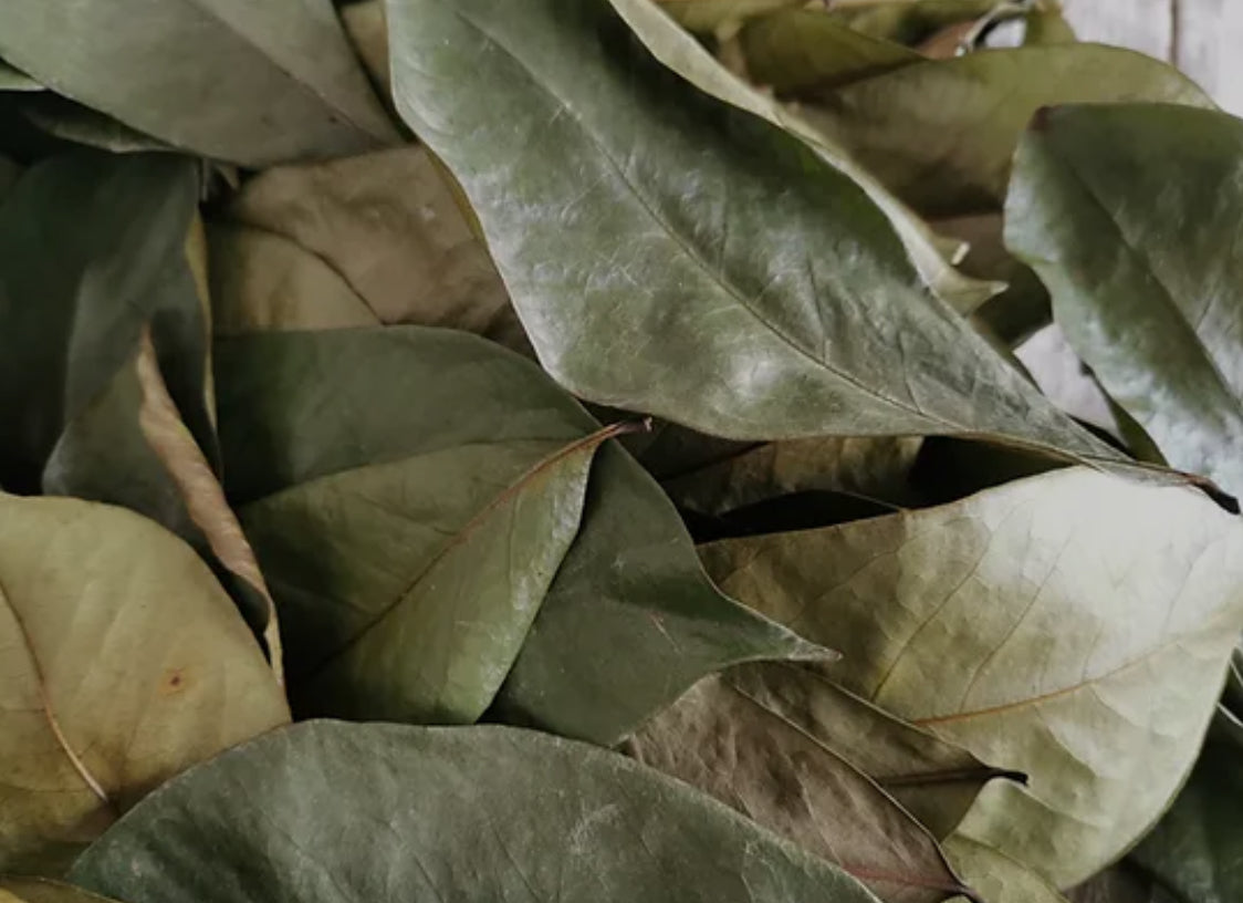 Soursop Leaves